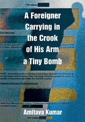 Book cover for A Foreigner Carrying in the Crook of His Arm a Tiny Bomb