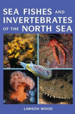 Cover of Sea Fishes and Invertebrates of the North Sea