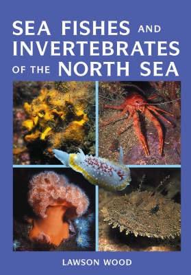 Book cover for Sea Fishes and Invertebrates of the North Sea