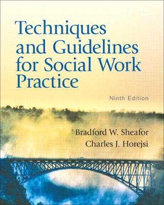 Book cover for Techniques and Guidelines for Social Work Practice (Subscription)