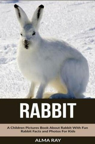 Cover of Rabbit