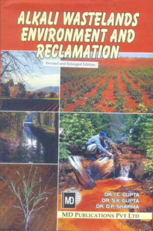 Cover of Alkali Wastelands Environment and Reclamation