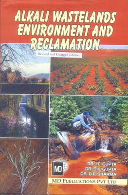 Book cover for Alkali Wastelands Environment and Reclamation