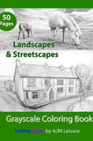 Cover of Landscapes & Streetscapes
