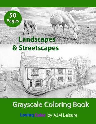 Book cover for Landscapes & Streetscapes