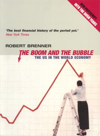 Book cover for The Boom and the Bubble