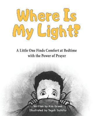 Book cover for Where Is My Light