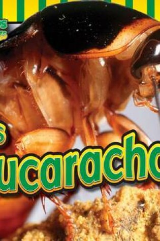 Cover of Las Cucarachas