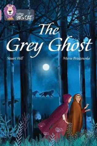 Cover of The Grey Ghost