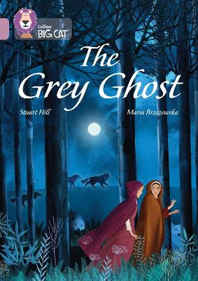 Book cover for The Grey Ghost