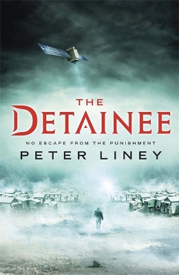 The Detainee by Peter Liney