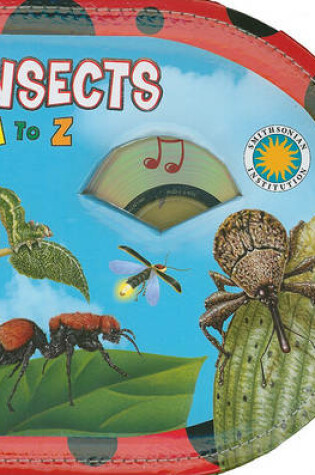 Cover of Insects A to Z