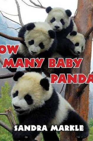 Cover of How Many Baby Pandas?