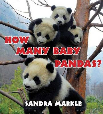 Book cover for How Many Baby Pandas?