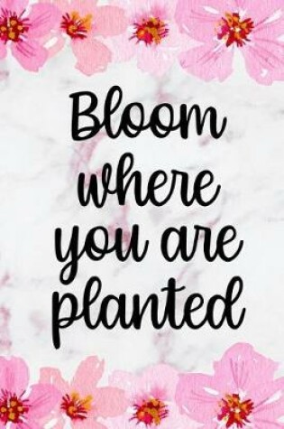 Cover of Bloom Where You Are Planted