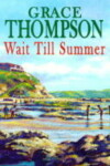 Book cover for Wait Till Summer