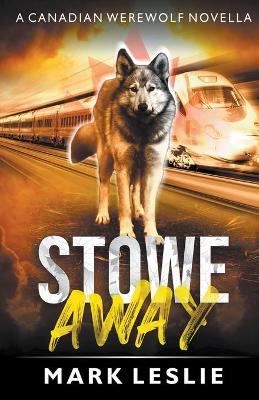 Book cover for Stowe Away