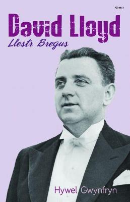 Book cover for David Lloyd - Llestr Bregus