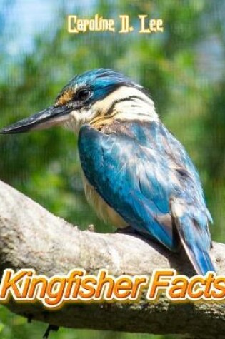 Cover of Kingfisher Facts