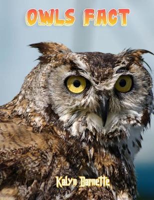 Book cover for Owls Fact