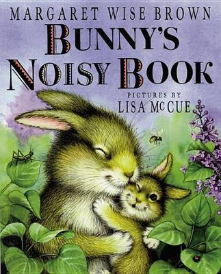 Book cover for Bunny's Noisy Book