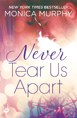 Book cover for Never Tear Us Apart: Never Series 1