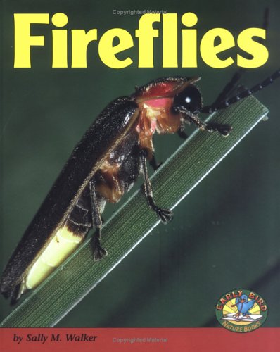 Cover of Fireflies