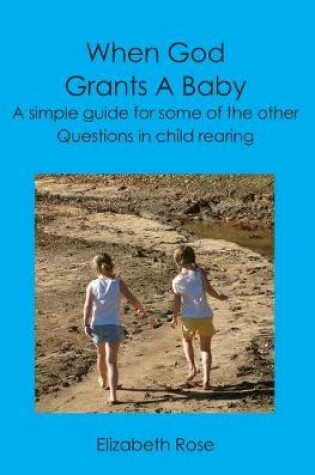 Cover of When God Grants A Baby