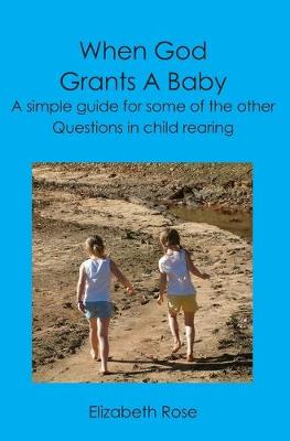 Book cover for When God Grants A Baby