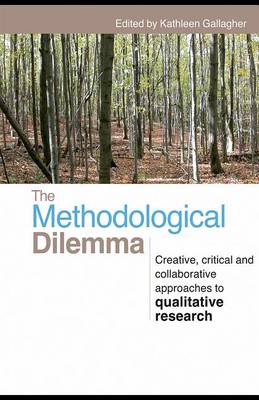 Book cover for The Methodological Dilemma