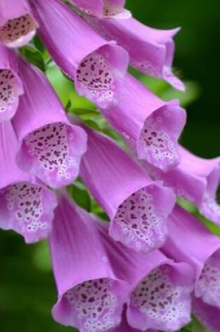 Cover of Close-Up of Beautiful Foxglove Flowers Gardening Journal