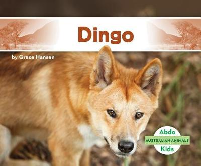 Cover of Dingo