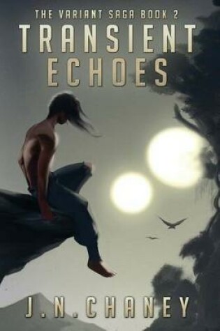 Cover of Transient Echoes