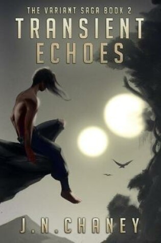 Cover of Transient Echoes