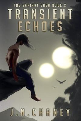 Cover of Transient Echoes