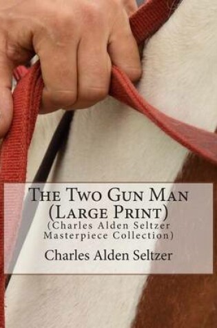 Cover of The Two Gun Man