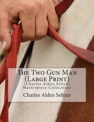 Book cover for The Two Gun Man