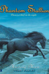 Book cover for Phantom Stallion #2: Mustang Moon