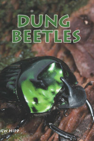 Cover of Dung Beetles