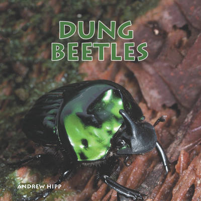 Book cover for Dung Beetles