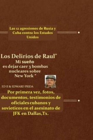 Cover of Los Delirios de Raul.....