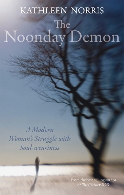 Book cover for The Noonday Demon
