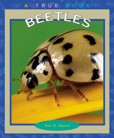 Book cover for Beetles