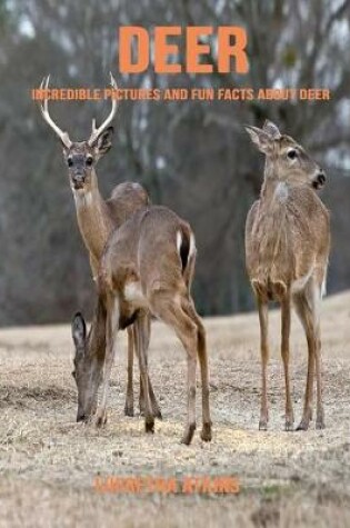 Cover of Deer