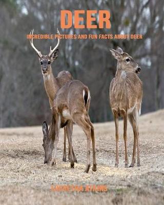 Book cover for Deer