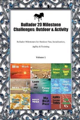 Book cover for Bullador 20 Milestone Challenges
