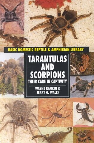 Cover of Tarantulas & Scorpions (Reptiles) (Oop)