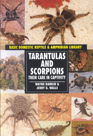 Book cover for Tarantulas & Scorpions (Reptiles) (Oop)