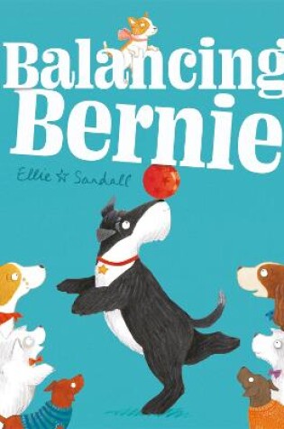 Cover of Balancing Bernie