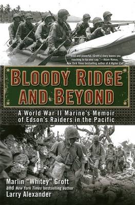 Book cover for Bloody Ridge and Beyond